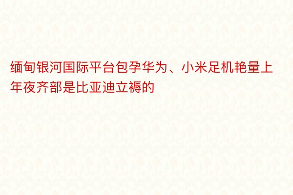 缅甸银河国际平台包孕华为、小米足机艳量上年夜齐部是比亚迪立褥的