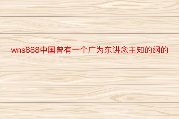 wns888中国曾有一个广为东讲念主知的纲的