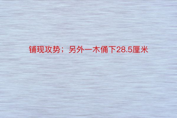 铺现攻势；另外一木俑下28.5厘米