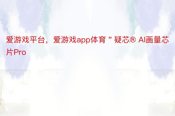 爱游戏平台，爱游戏app体育＂疑芯® AI画量芯片Pro