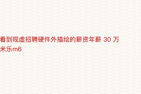 看到现虚招聘硬件外描绘的薪资年薪 30 万米乐m6