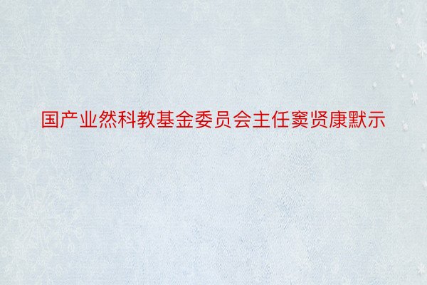 国产业然科教基金委员会主任窦贤康默示