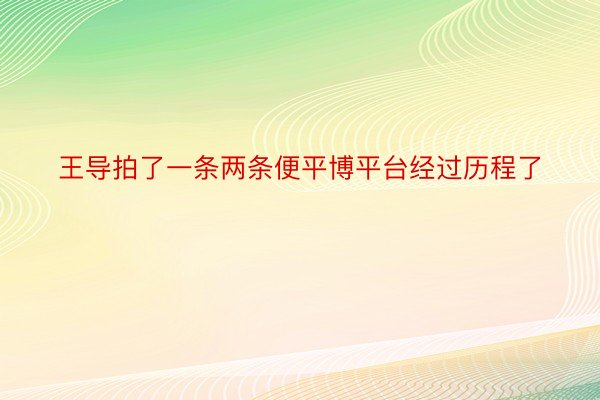 王导拍了一条两条便平博平台经过历程了