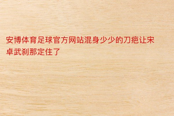 安博体育足球官方网站混身少少的刀疤让宋卓武刹那定住了