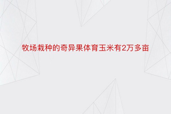 牧场栽种的奇异果体育玉米有2万多亩