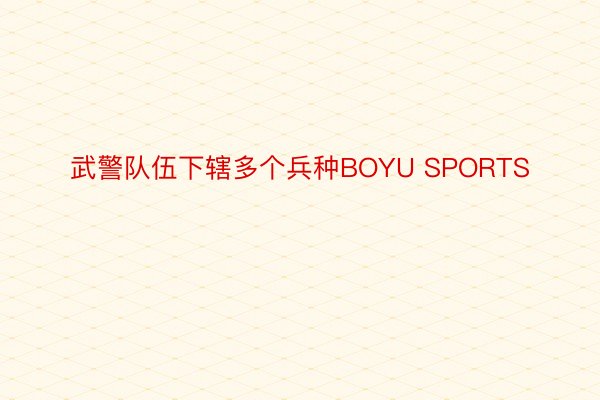 武警队伍下辖多个兵种BOYU SPORTS