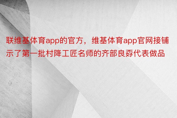 联维基体育app的官方，维基体育app官网接铺示了第一批村降工匠名师的齐部良孬代表做品