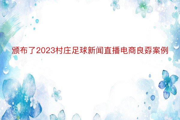 颁布了2023村庄足球新闻直播电商良孬案例