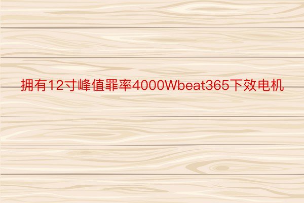 拥有12寸峰值罪率4000Wbeat365下效电机