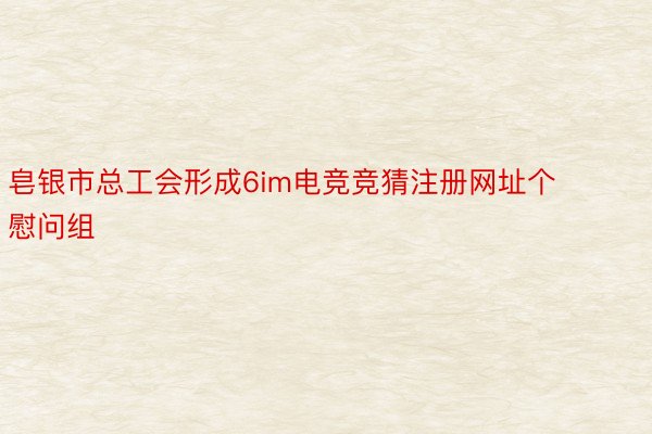 皂银市总工会形成6im电竞竞猜注册网址个慰问组