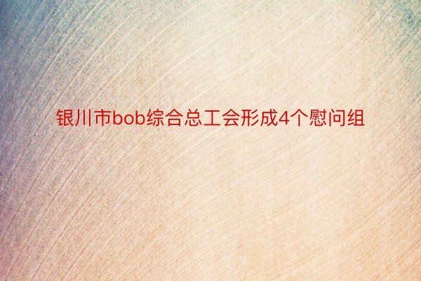 银川市bob综合总工会形成4个慰问组