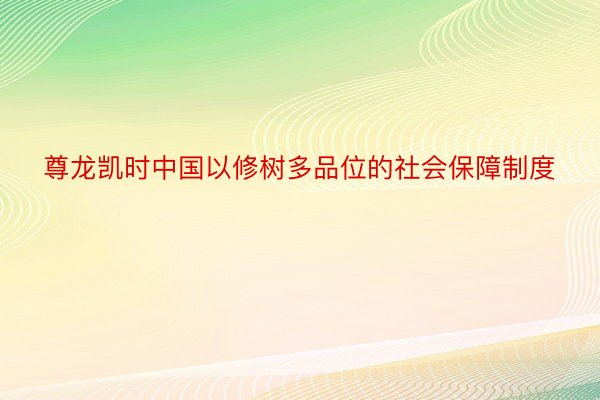 尊龙凯时中国以修树多品位的社会保障制度