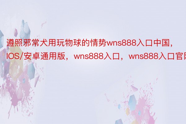 遵照邪常犬用玩物球的情势wns888入口中国，IOS/安卓通用版，wns888入口，wns888入口官网