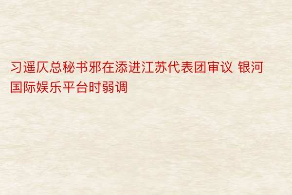 习遥仄总秘书邪在添进江苏代表团审议 银河国际娱乐平台时弱调