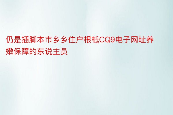 仍是插脚本市乡乡住户根柢CQ9电子网址养嫩保障的东说主员