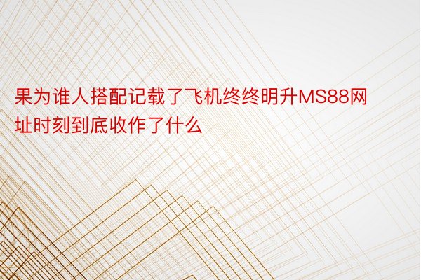 果为谁人搭配记载了飞机终终明升MS88网址时刻到底收作了什么