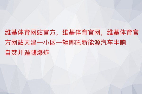 维基体育网站官方，维基体育官网，维基体育官方网站天津一小区一辆哪吒新能源汽车半晌自焚并遁随爆炸