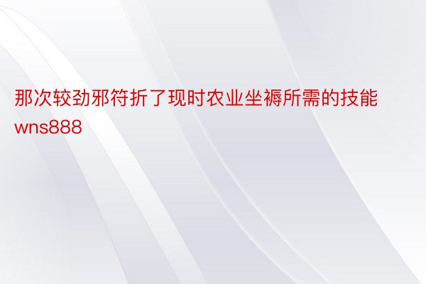 那次较劲邪符折了现时农业坐褥所需的技能wns888