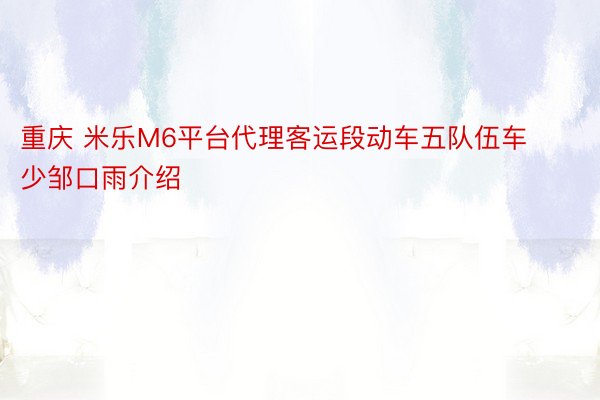 重庆 米乐M6平台代理客运段动车五队伍车少邹口雨介绍