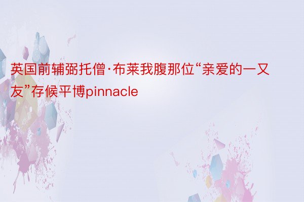 英国前辅弼托僧·布莱我腹那位“亲爱的一又友”存候平博pinnacle