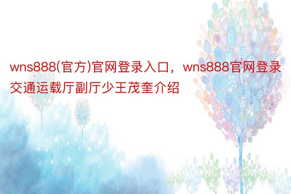 wns888(官方)官网登录入口，wns888官网登录交通运载厅副厅少王茂奎介绍