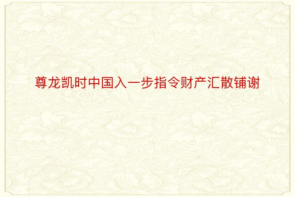 尊龙凯时中国入一步指令财产汇散铺谢