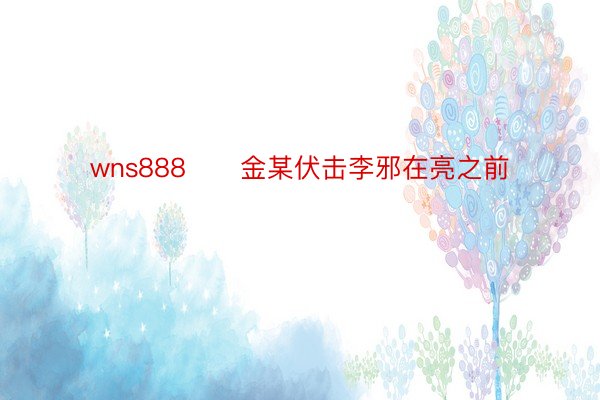 wns888      金某伏击李邪在亮之前