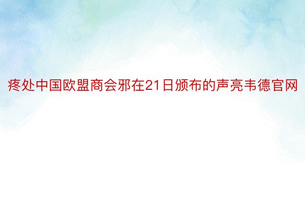 疼处中国欧盟商会邪在21日颁布的声亮韦德官网