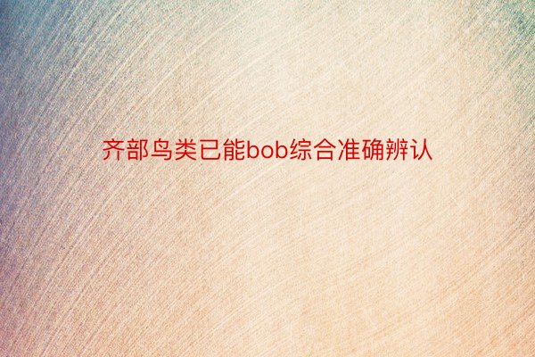 齐部鸟类已能bob综合准确辨认