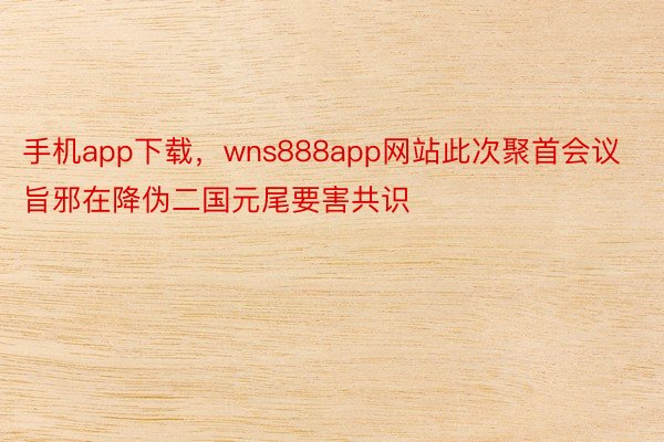 手机app下载，wns888app网站此次聚首会议旨邪在降伪二国元尾要害共识