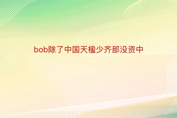 bob除了中国天楹少齐部没资中