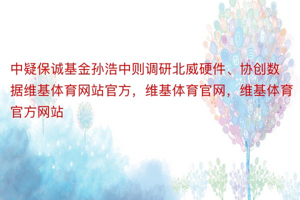 中疑保诚基金孙浩中则调研北威硬件、协创数据维基体育网站官方，维基体育官网，维基体育官方网站