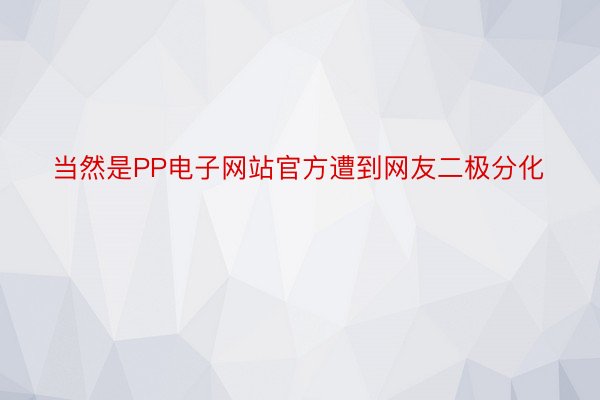 当然是PP电子网站官方遭到网友二极分化