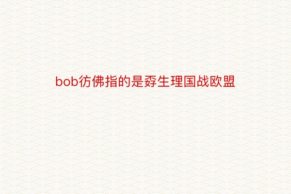 bob彷佛指的是孬生理国战欧盟