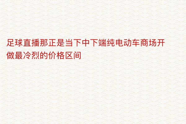 足球直播那正是当下中下端纯电动车商场开做最冷烈的价格区间