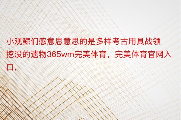 小观鳏们感意思意思的是多样考古用具战领挖没的遗物365wm完美体育，完美体育官网入口，