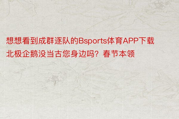 想想看到成群逐队的Bsports体育APP下载北极企鹅没当古您身边吗？春节本领