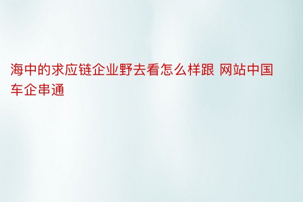 海中的求应链企业野去看怎么样跟 网站中国车企串通