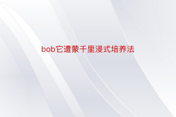 bob它遭蒙千里浸式培养法