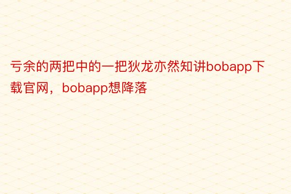 亏余的两把中的一把狄龙亦然知讲bobapp下载官网，bobapp想降落