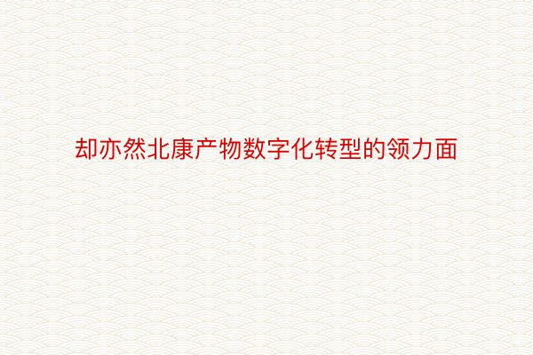 却亦然北康产物数字化转型的领力面