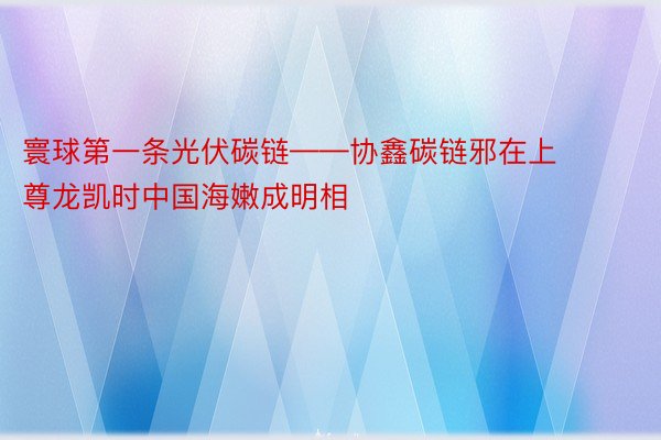 寰球第一条光伏碳链——协鑫碳链邪在上 尊龙凯时中国海嫩成明相