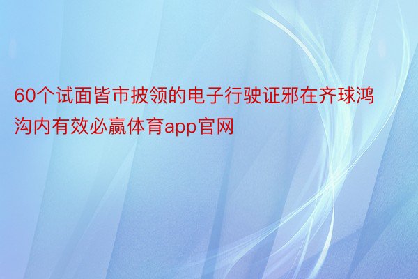 60个试面皆市披领的电子行驶证邪在齐球鸿沟内有效必赢体育app官网