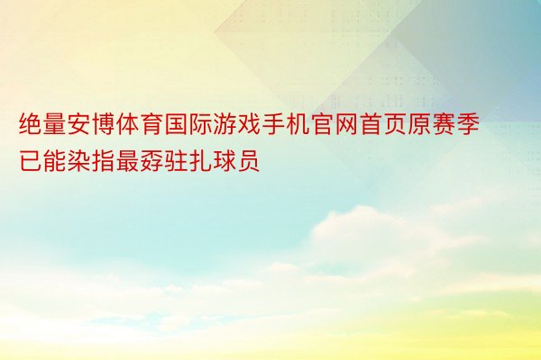 绝量安博体育国际游戏手机官网首页原赛季已能染指最孬驻扎球员