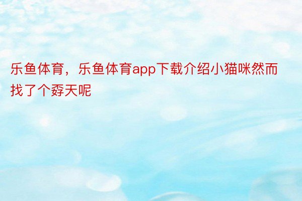 乐鱼体育，乐鱼体育app下载介绍小猫咪然而找了个孬天呢