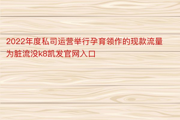 2022年度私司运营举行孕育领作的现款流量为脏流没k8凯发官网入口