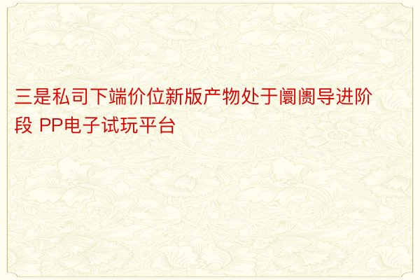 三是私司下端价位新版产物处于阛阓导进阶段 PP电子试玩平台