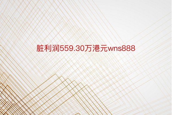 脏利润559.30万港元wns888