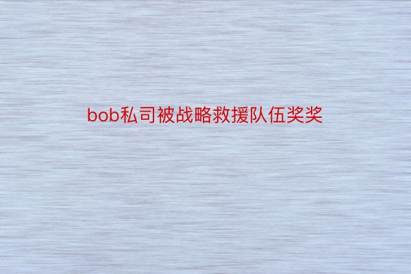 bob私司被战略救援队伍奖奖