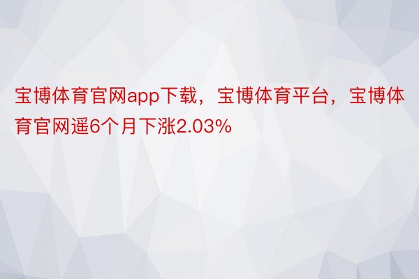 宝博体育官网app下载，宝博体育平台，宝博体育官网遥6个月下涨2.03%